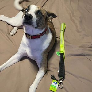 NWT Soft Handle LED & Reflective Leash